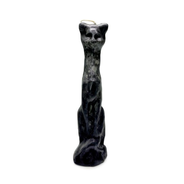 Dagyde Chat noire