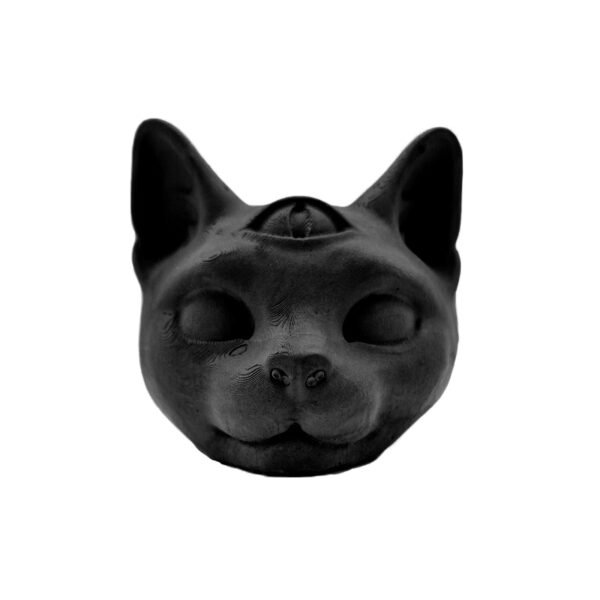 Chat à 3 yeux noir