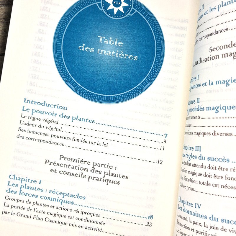 De l'usage des herbes, poudres et encens en magie - 200 plantes & 25 rituels – Image 2
