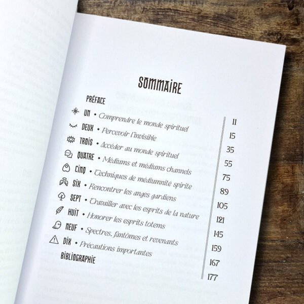 Guides spirituels - Les rencontrer et travailler avec eux – Image 2