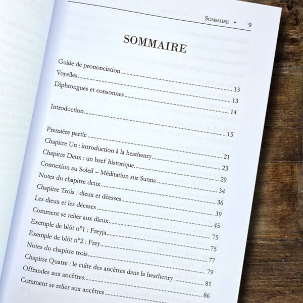 Guide pratique de l'Asatru – Image 2