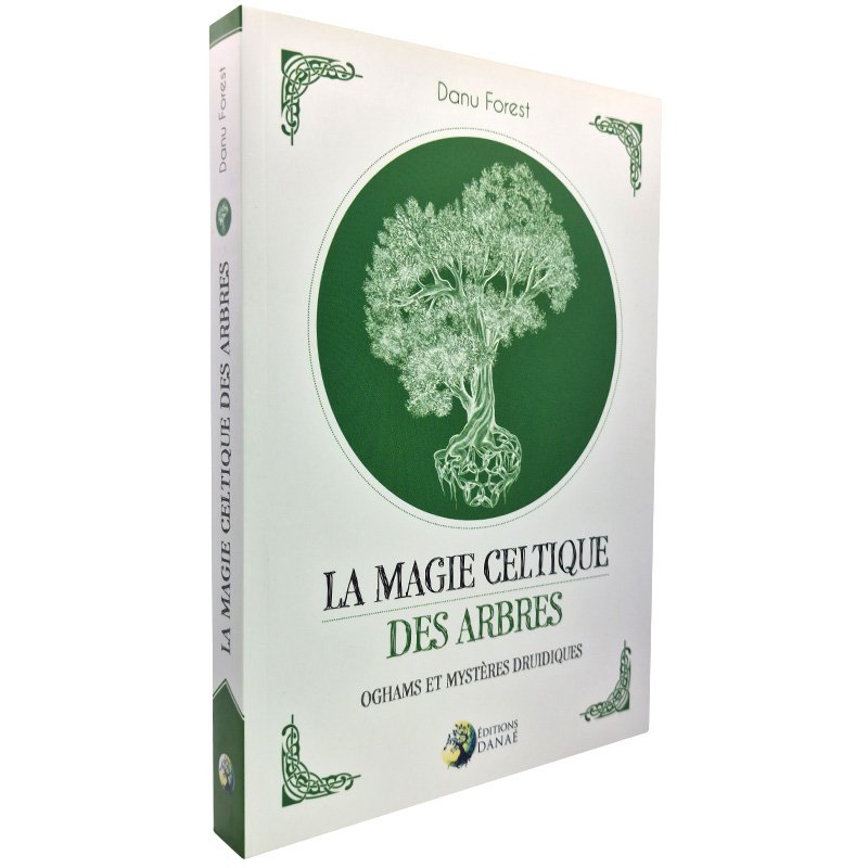 La Chaos Magick Pratique – Manipulation de la réalité par le courant Ovayki