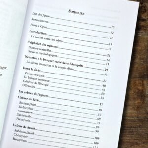 La magie celtique des arbres – Oghams et mystères druidiques