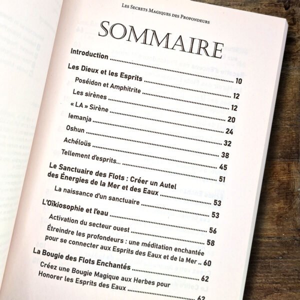 Les Secrets Magiques des profondeurs – Image 2