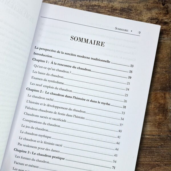 Le Chaudron de la Sorcière - L'art, les traditions et la magie des récipients rituels – Image 2