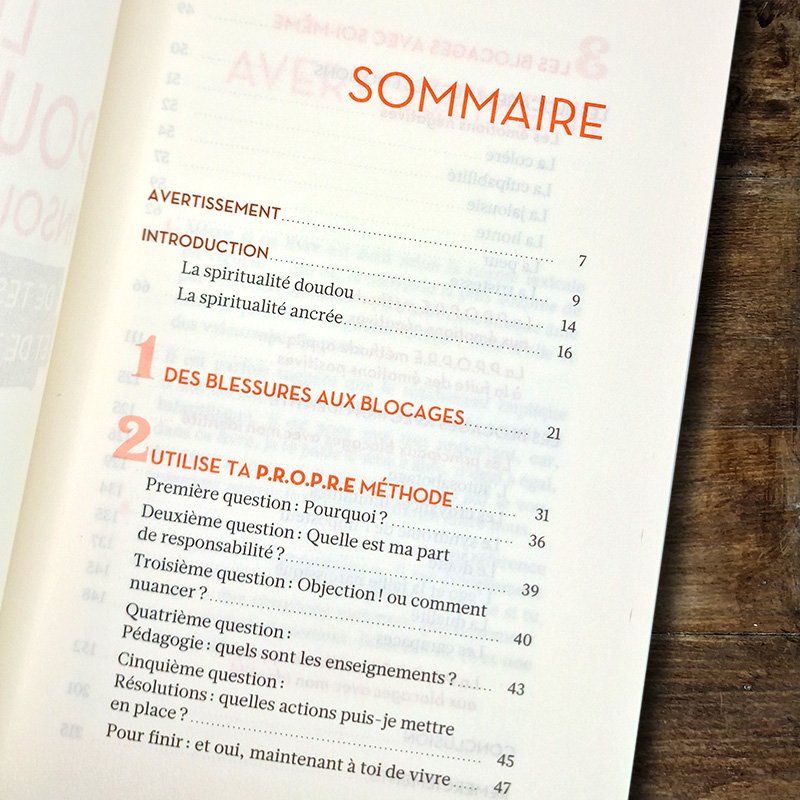 Le pouvoir insoupçonné de tes blessures et de tes blocages – Image 2