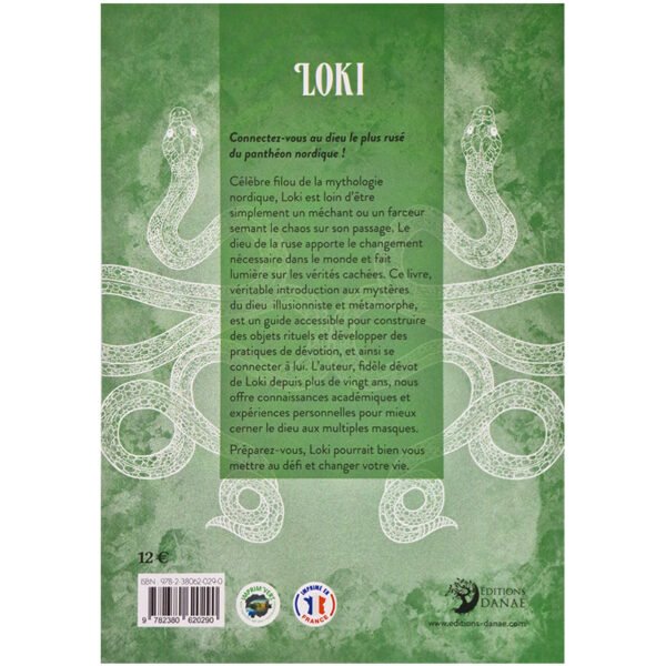 Loki - Introduction au dieu de la malice et des illusions – Image 3