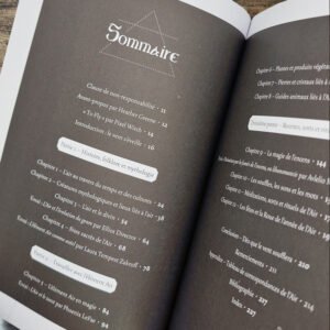 Magie de l’Air