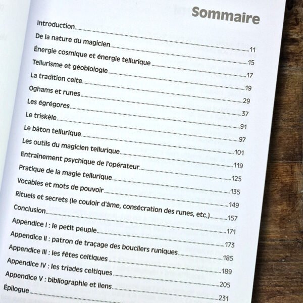 Magie Tellurique - Pratique, rituels et secrets – Image 2