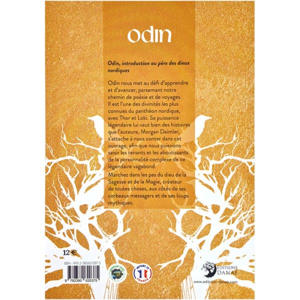 Odin - Introduction au père des dieux nordiques – Image 3