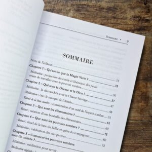 Sorcières vertes – T2. Entre ombre et lumière
