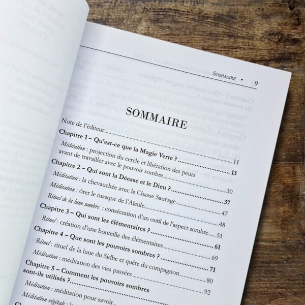 Sorcières vertes - T2. Entre ombre et lumière – Image 2