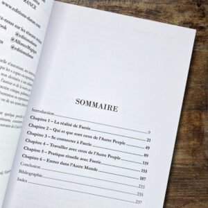 Sorcières vertes – T4. Sur les traces de Faerie