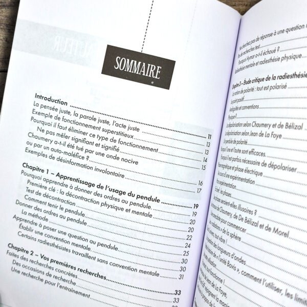 Traité pratique et raisonné de radiesthésie – Image 2