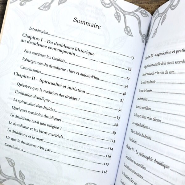Le Druidisme - Une spiritualité sans dogme – Image 2