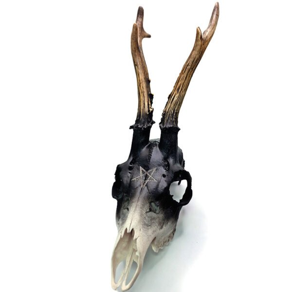 Crâne de chevreuil personnalisable n°3 – Image 3