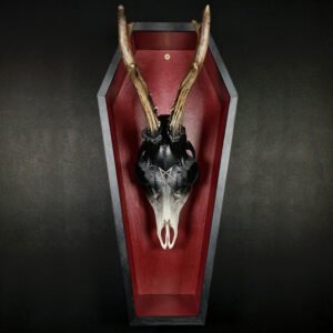 Cercueil Macabre