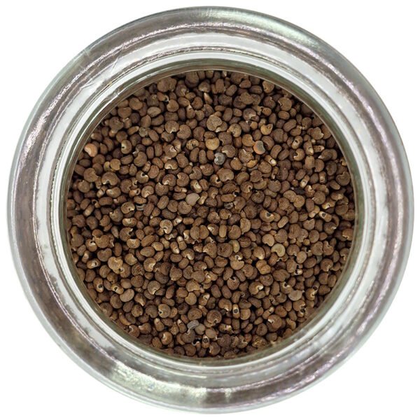 Ambrette (graines de musc) 25 gr