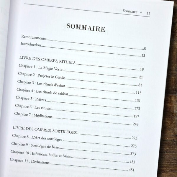 Grimoire de Magie Verte – Image 2
