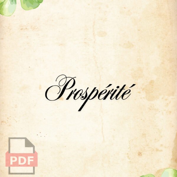 Kit rituel Prospérité – Image 3