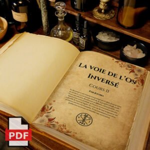 Protégé : La voie de l’os inversé – Cours 2